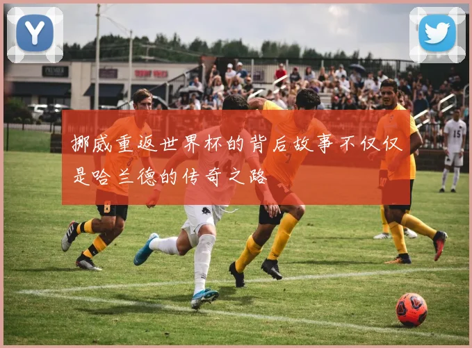 挪威重返世界杯的背后故事不仅仅是哈兰德的传奇之路