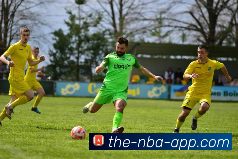 NBA买球网站平台生态图